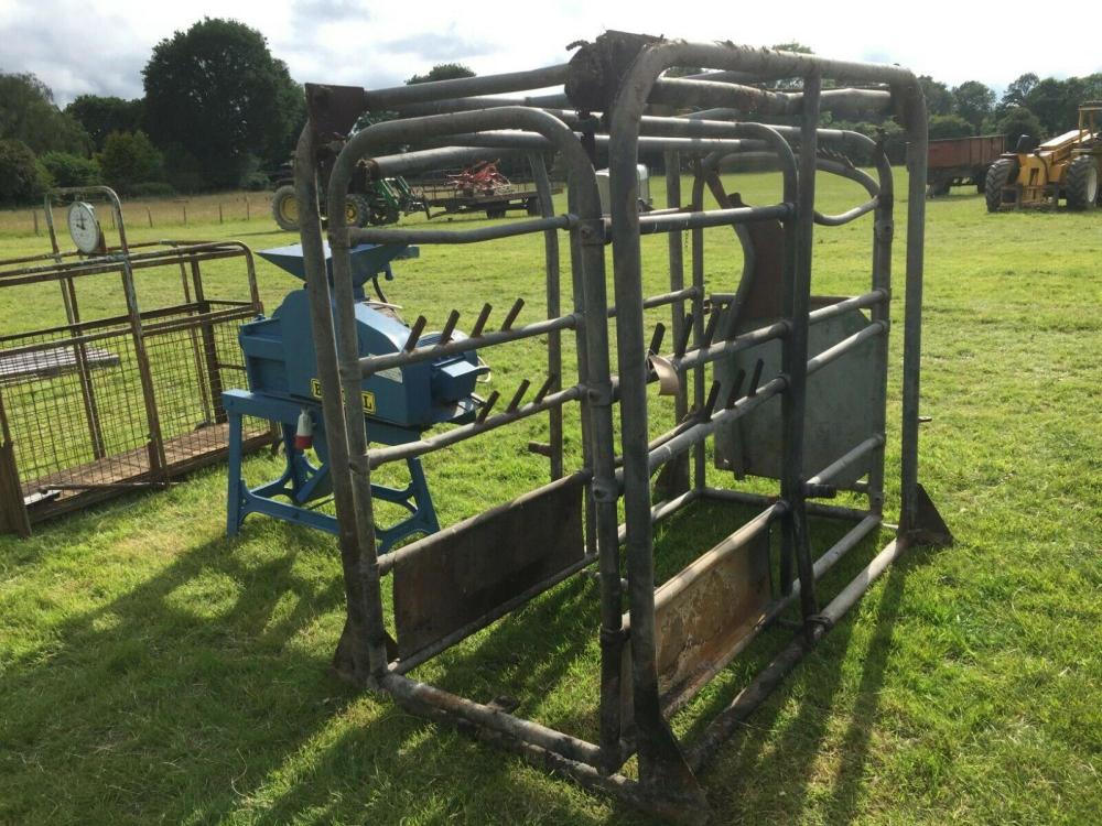 Cattle Crush £390 plus vat £468 located close to Gatwick Airport