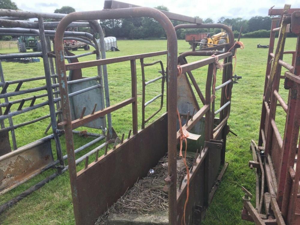 Cattle Crush £250 plus vat £300